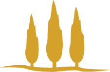 logo terra aurea tartufi