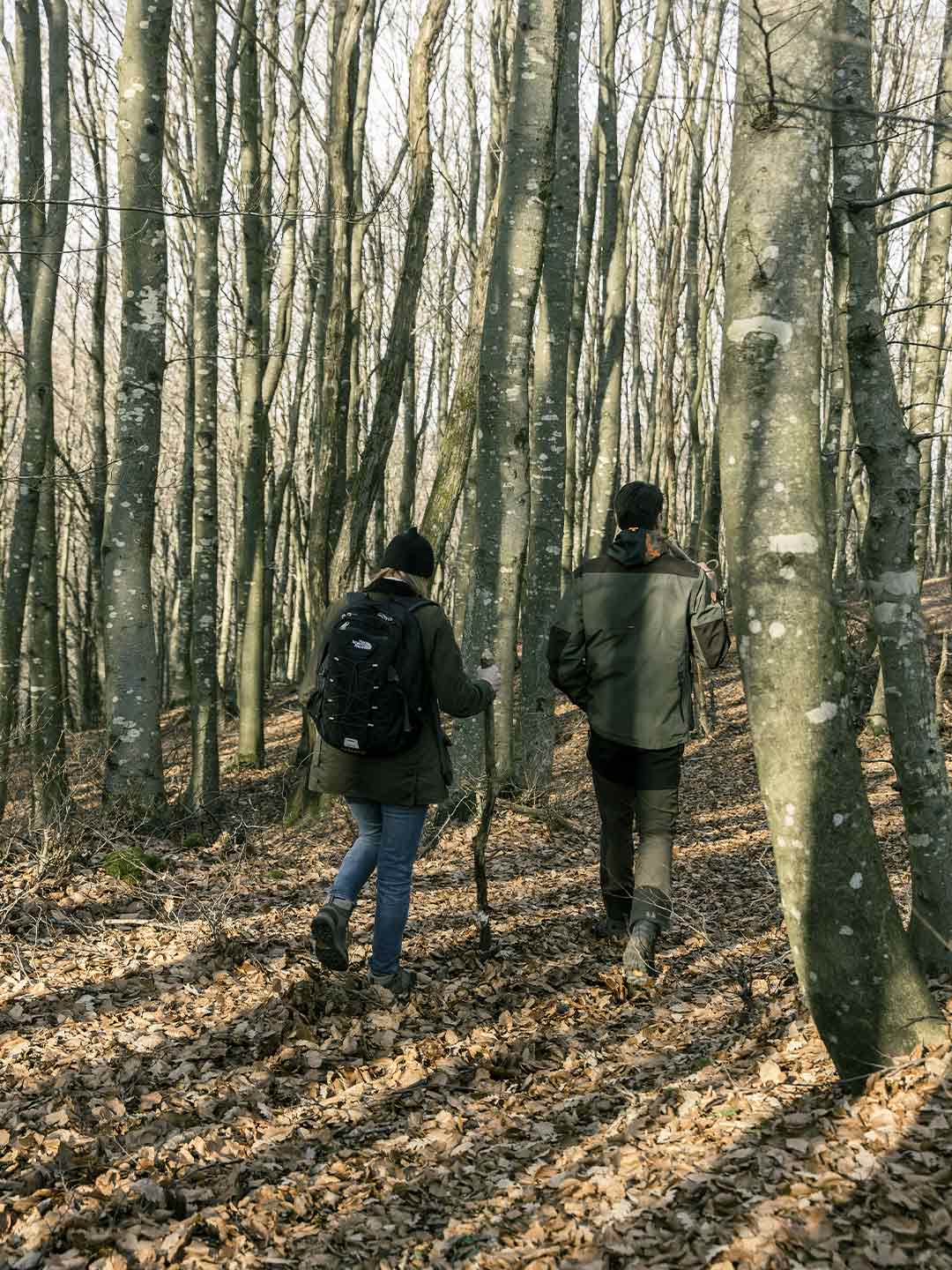 hiking-esperienziale-in-valdichiana_10